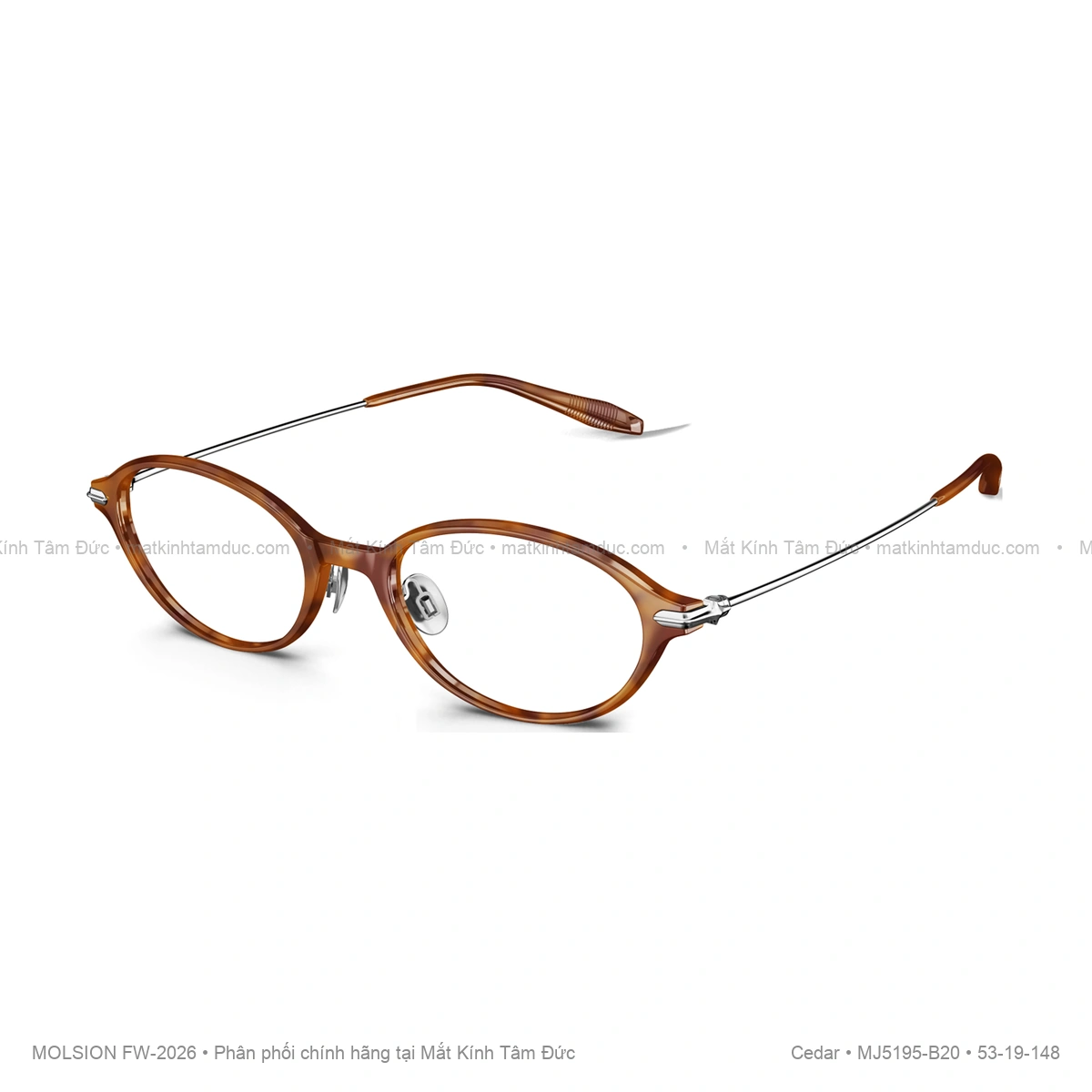Gọng kính Molsion Cedar MJ5195