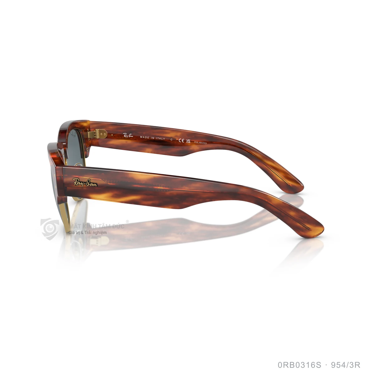 Kính mát Rayban 0RB0316S - Ảnh 19