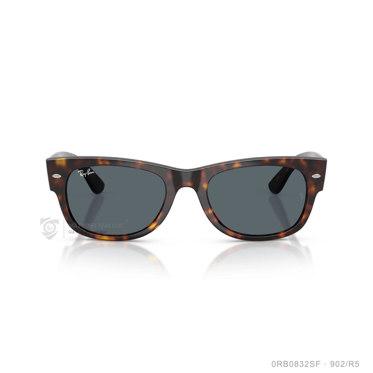 Kính mát Rayban 0RB0832SF - Ảnh 31