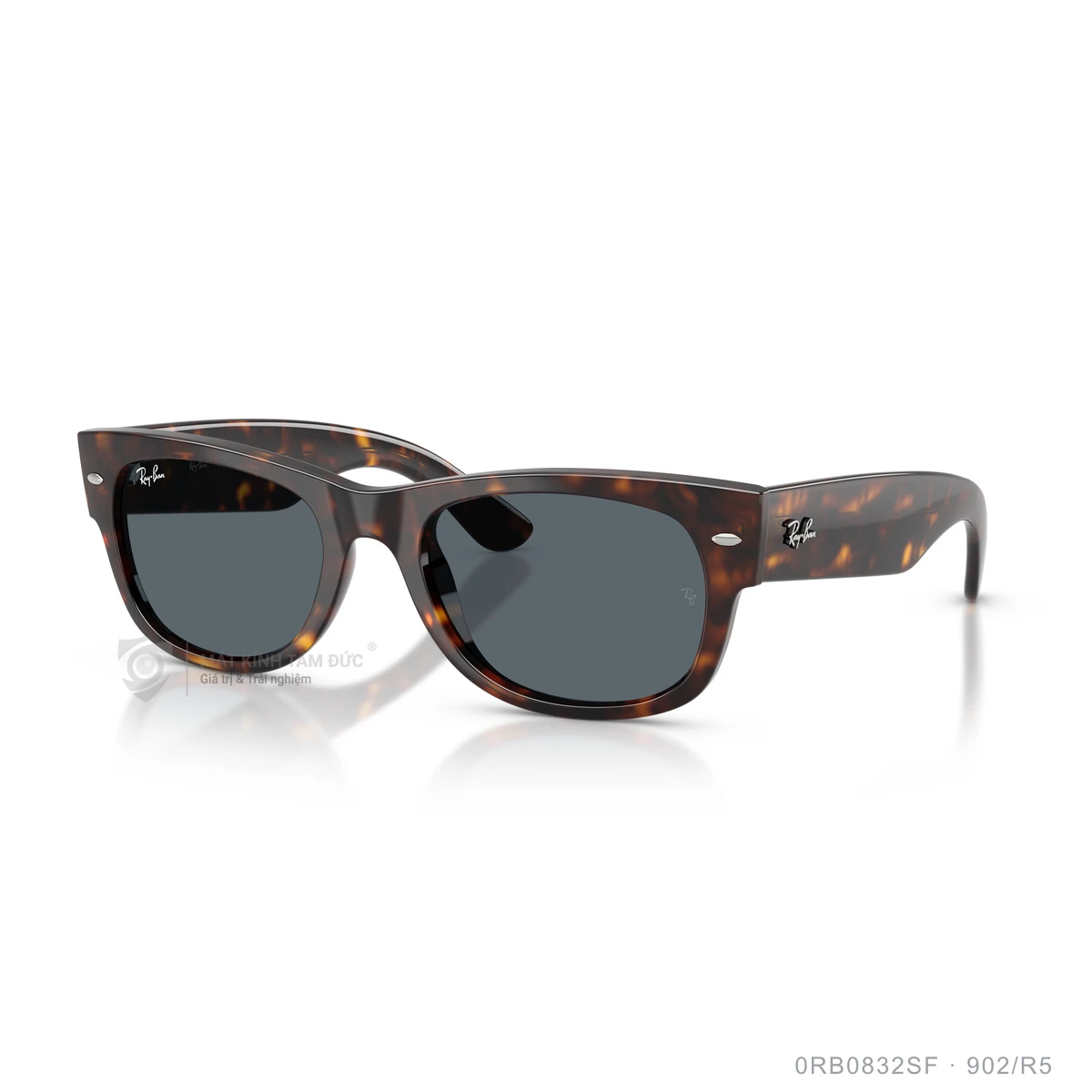 Kính mát Rayban 0RB0832SF - Ảnh 32