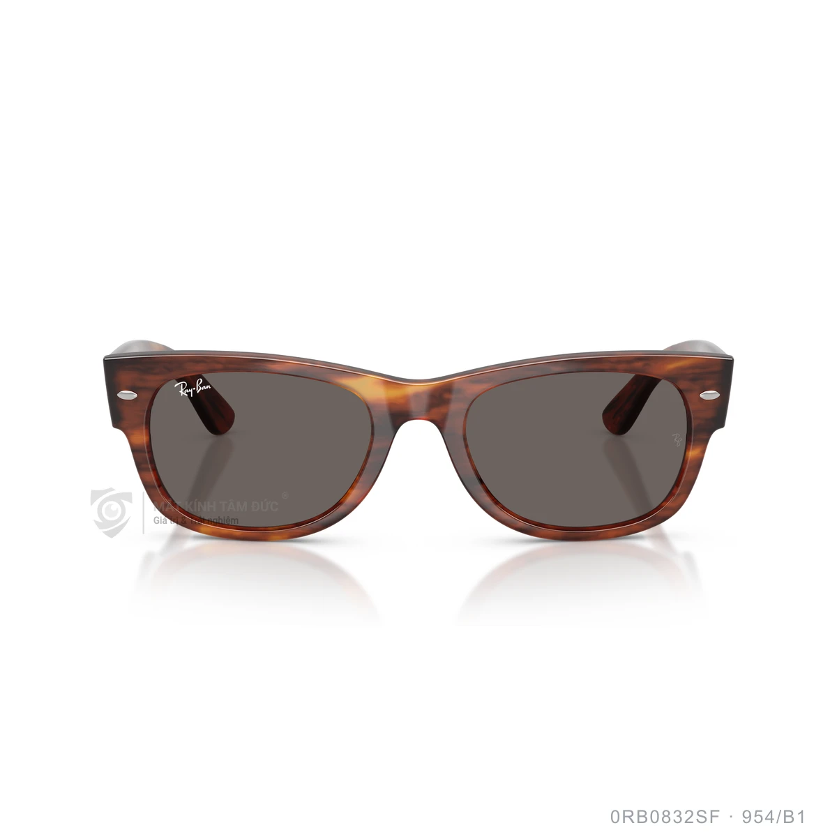 Kính mát Rayban 0RB0832SF - Ảnh 36
