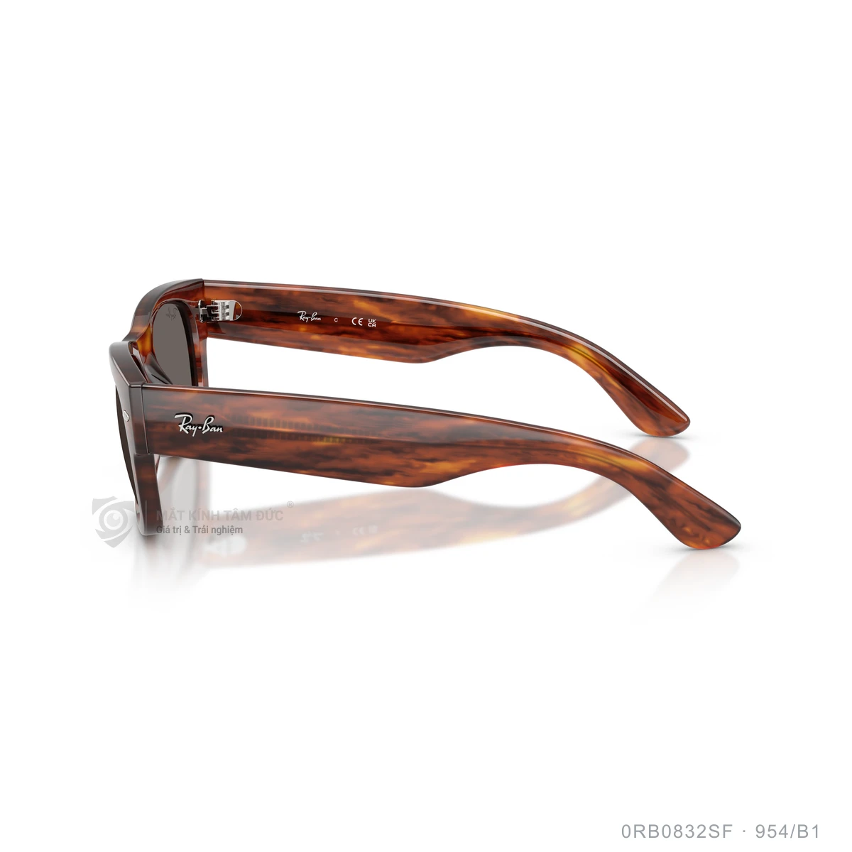 Kính mát Rayban 0RB0832SF - Ảnh 39