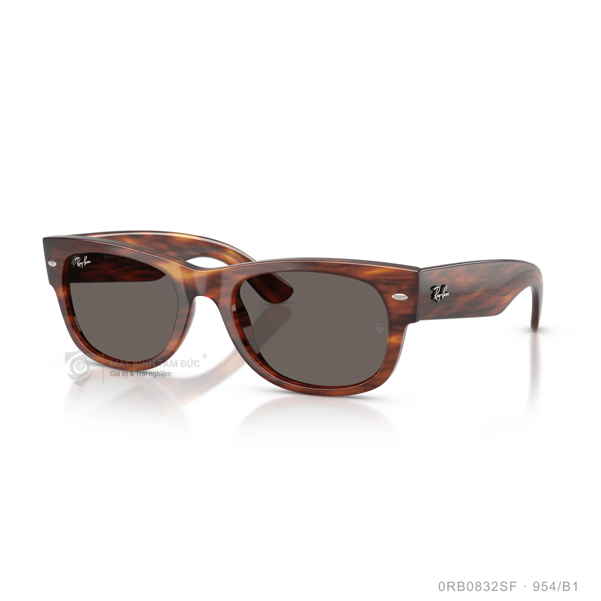 Kính mát Rayban 0RB0832SF - Ảnh 37