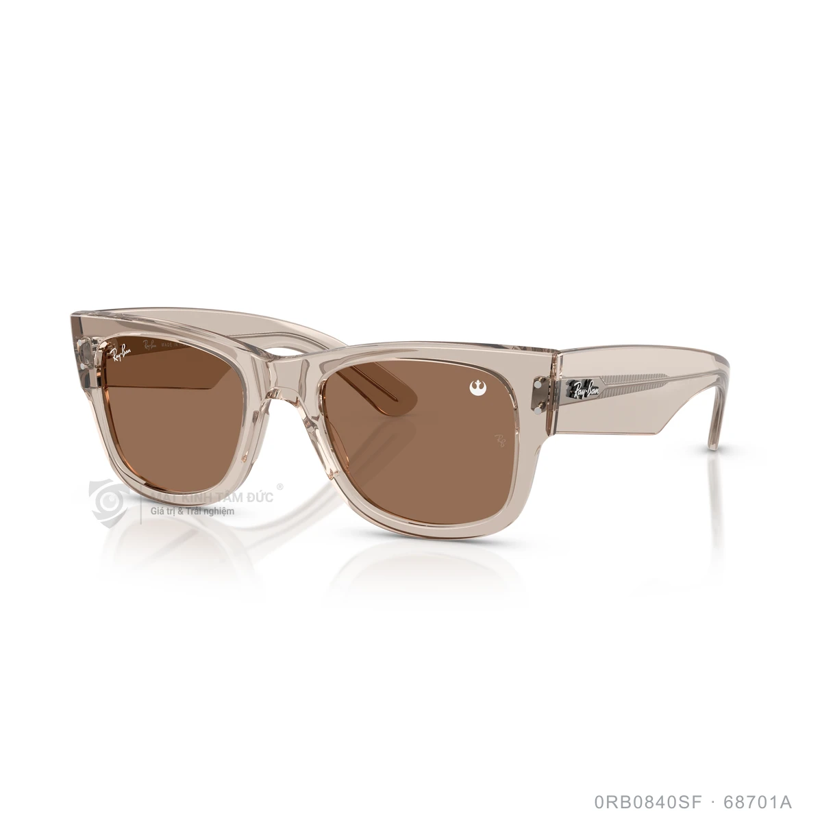 Kính mát Rayban 0RB0840SF - Ảnh 12