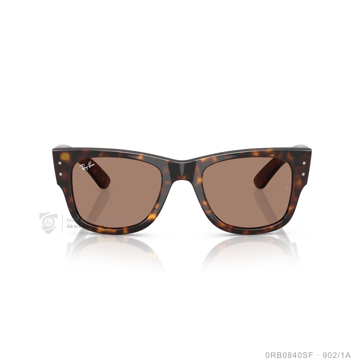 Kính mát Rayban 0RB0840SF - Ảnh 26