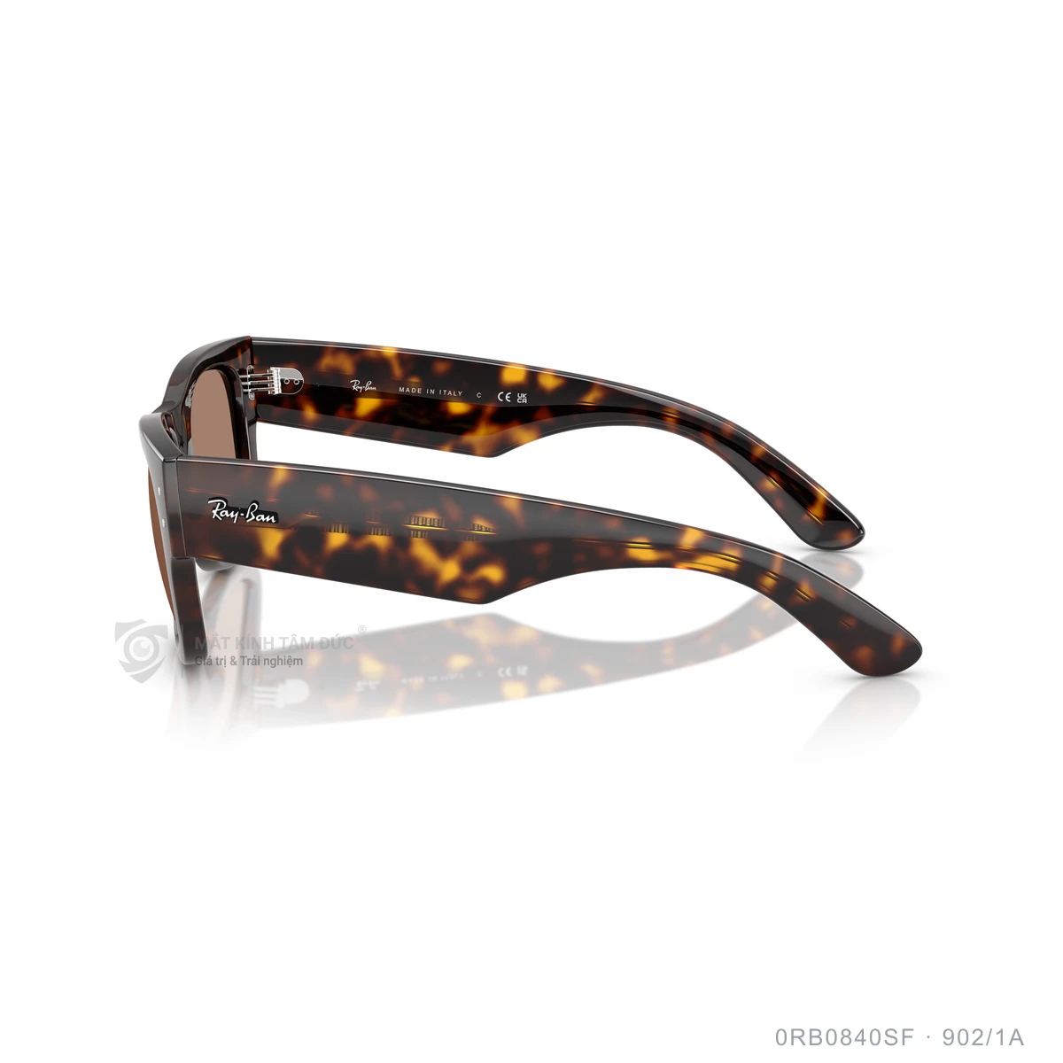 Kính mát Rayban 0RB0840SF - Ảnh 29