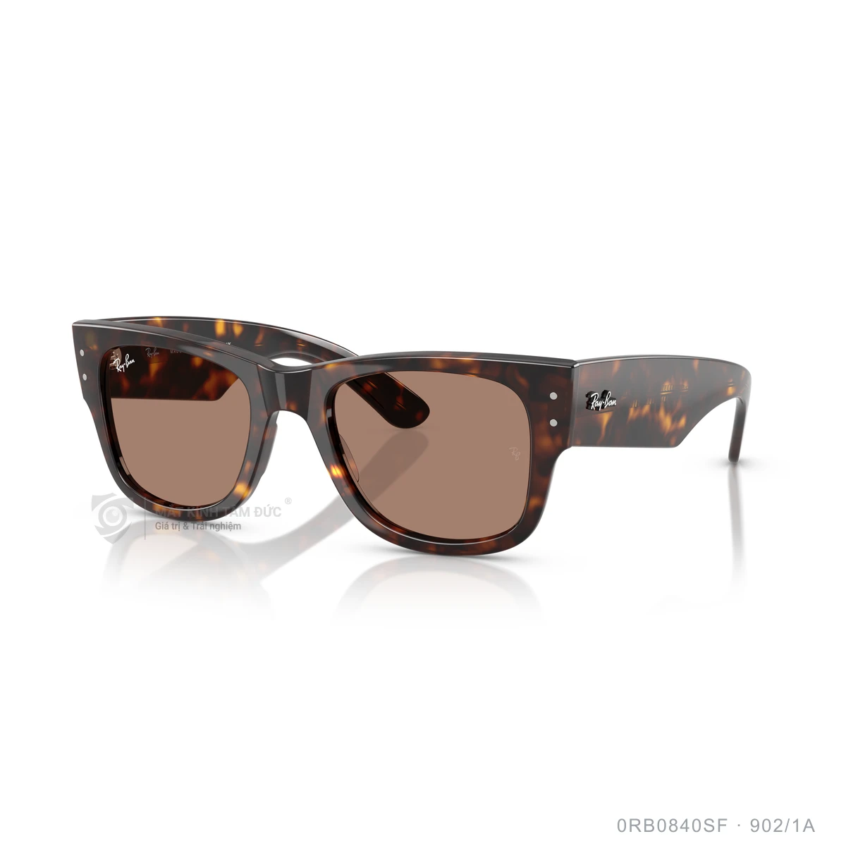 Kính mát Rayban 0RB0840SF - Ảnh 27