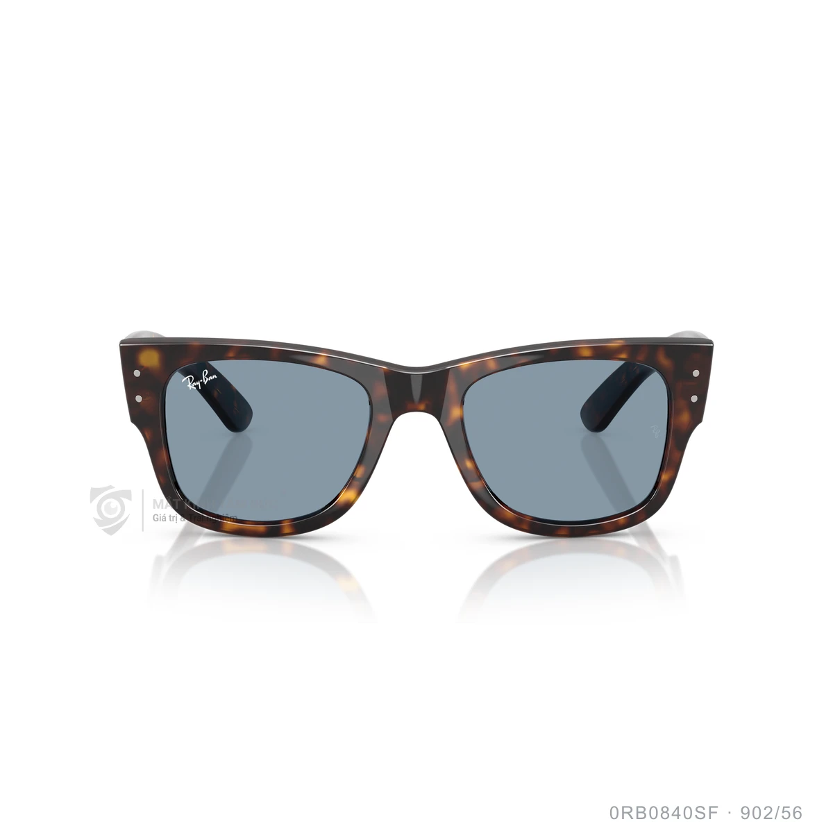 Kính mát Rayban 0RB0840SF - Ảnh 31