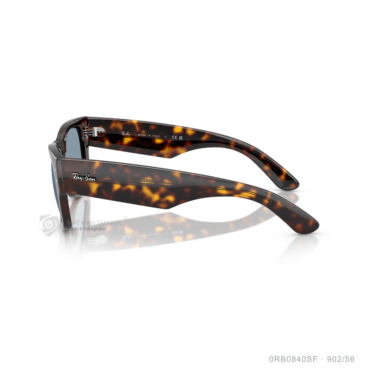 Kính mát Rayban 0RB0840SF - Ảnh 34