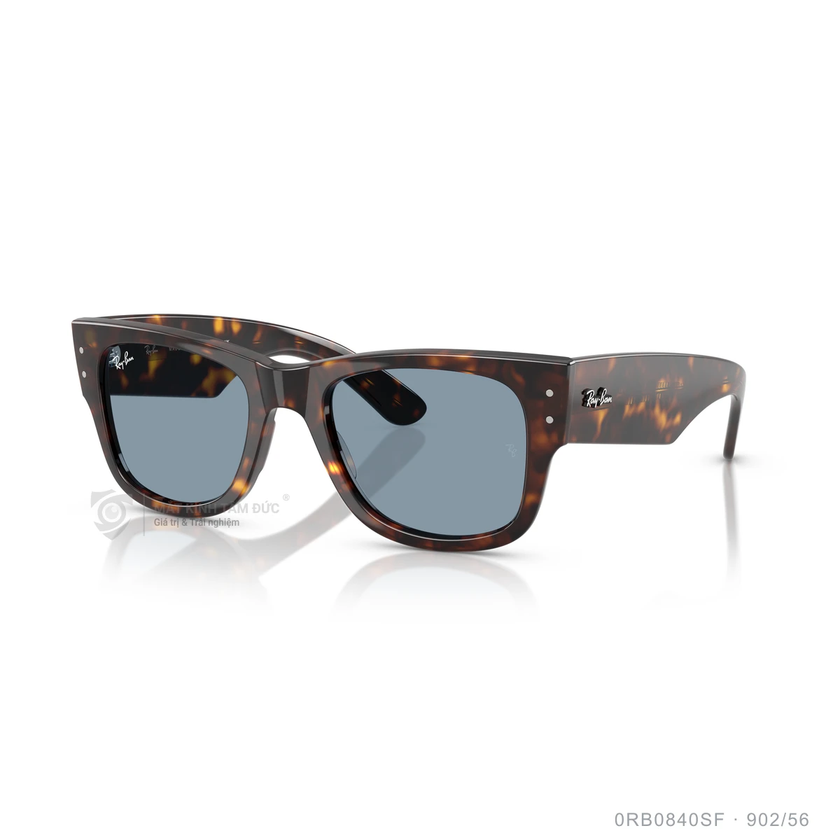 Kính mát Rayban 0RB0840SF - Ảnh 32
