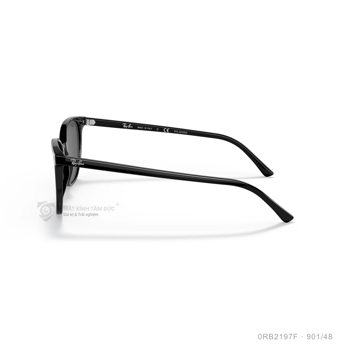 Kính mát Rayban 0RB2197F - Ảnh 19