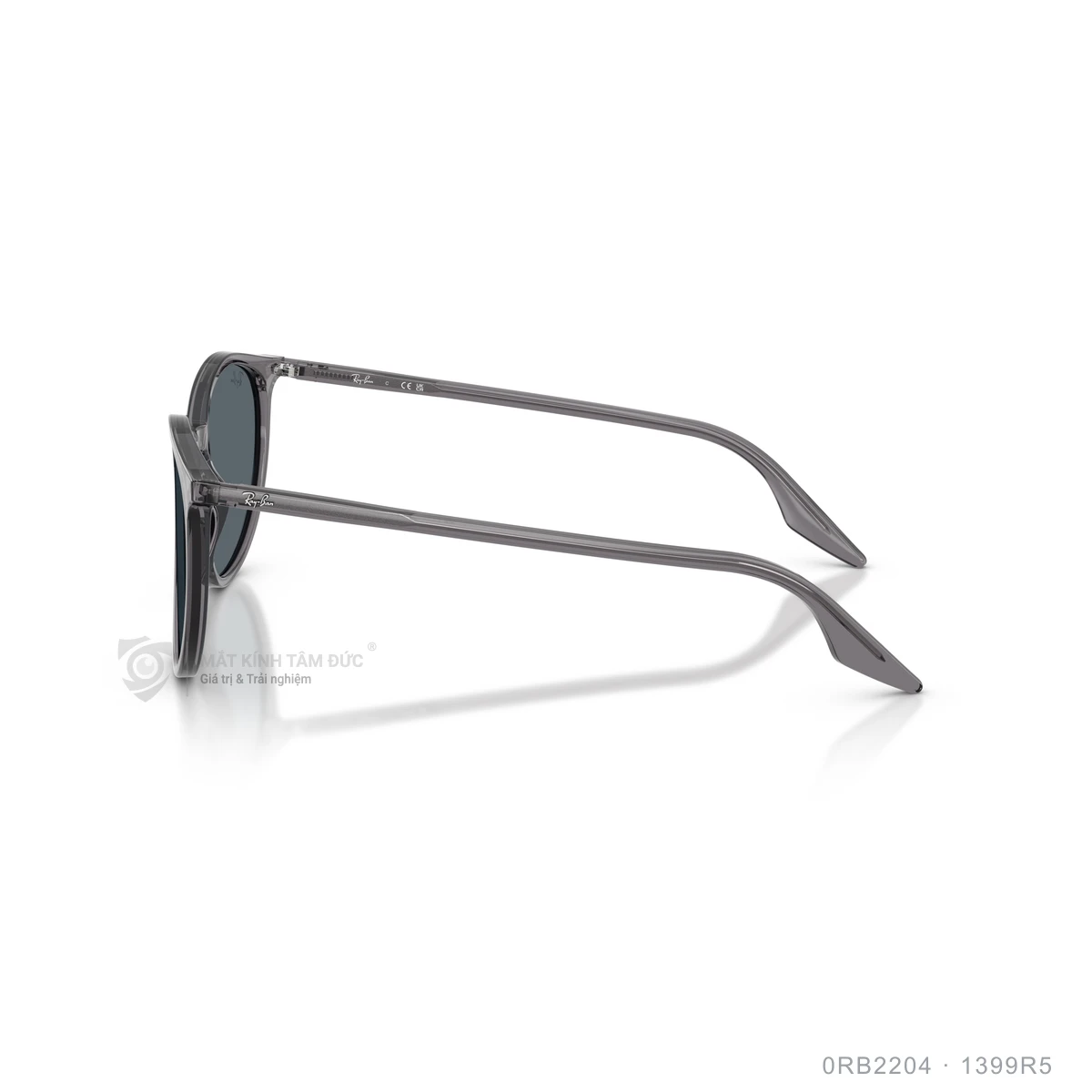Kính mát Rayban 0RB2204 - Ảnh 4