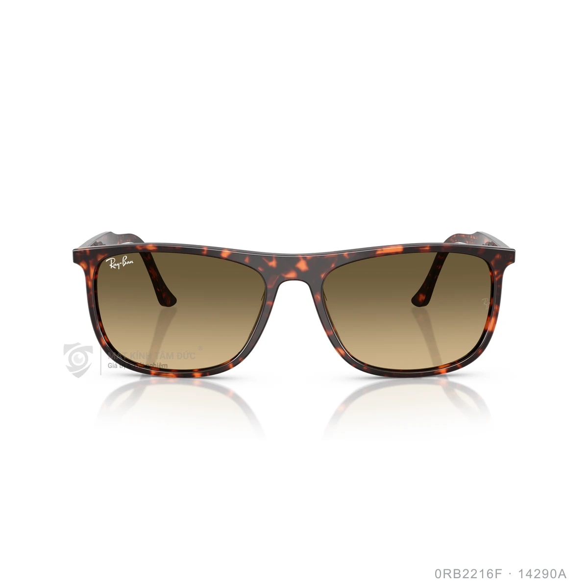 Hình ảnh thực tế Kính mát Rayban 0RB2216F