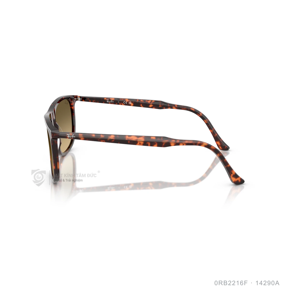 Kính mát Rayban 0RB2216F - Ảnh 4
