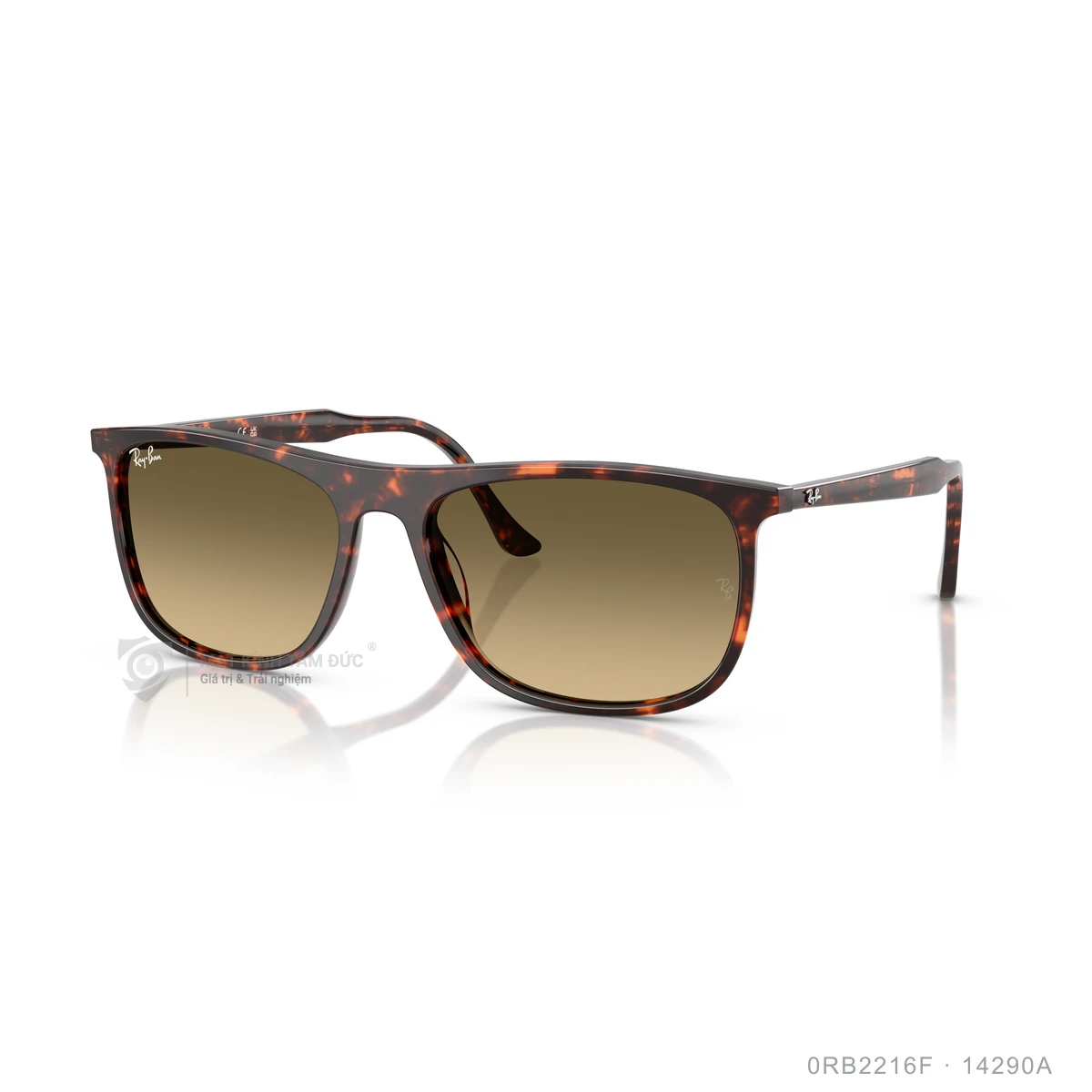 Chi tiết góc nghiêng Kính mát Rayban 0RB2216F