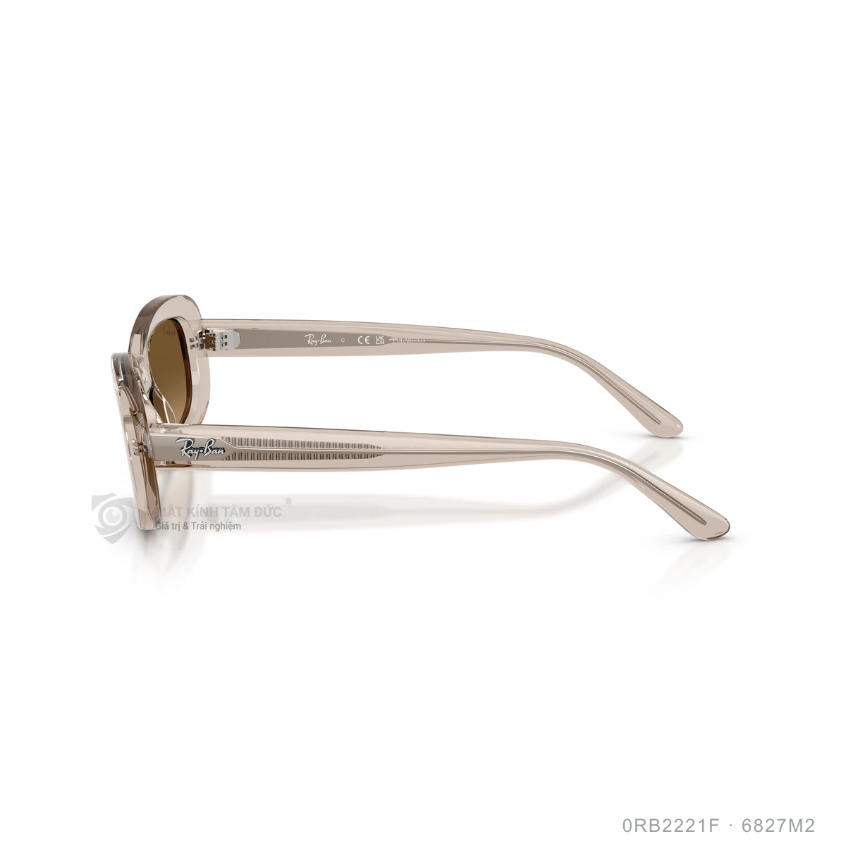 Kính mát Rayban 0RB2221F - Ảnh 9