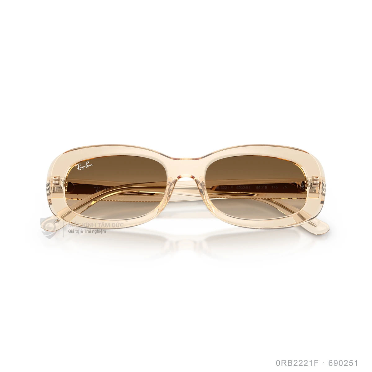 Kính mát Rayban 0RB2221F - Ảnh 3
