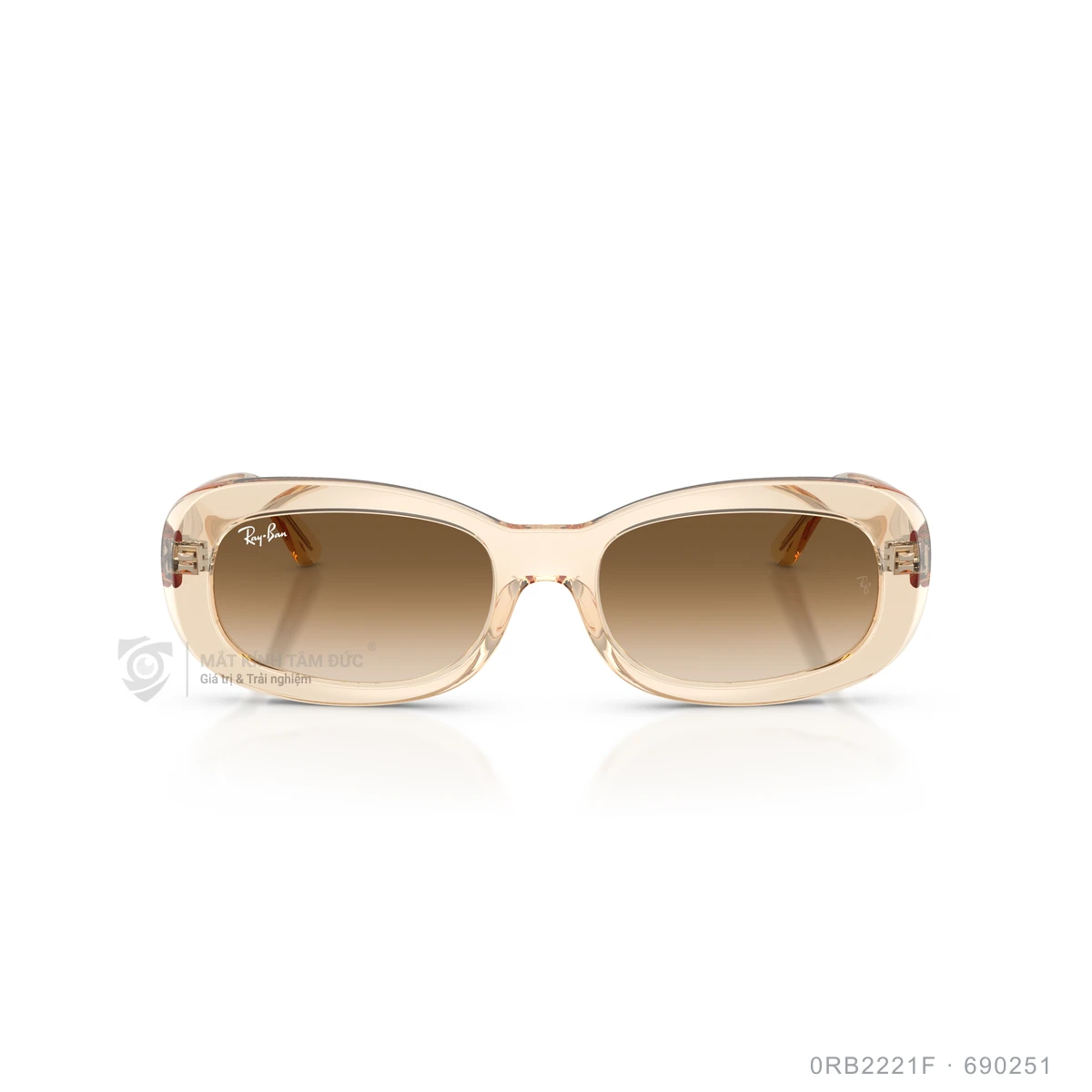 Hình ảnh thực tế Kính mát Rayban 0RB2221F