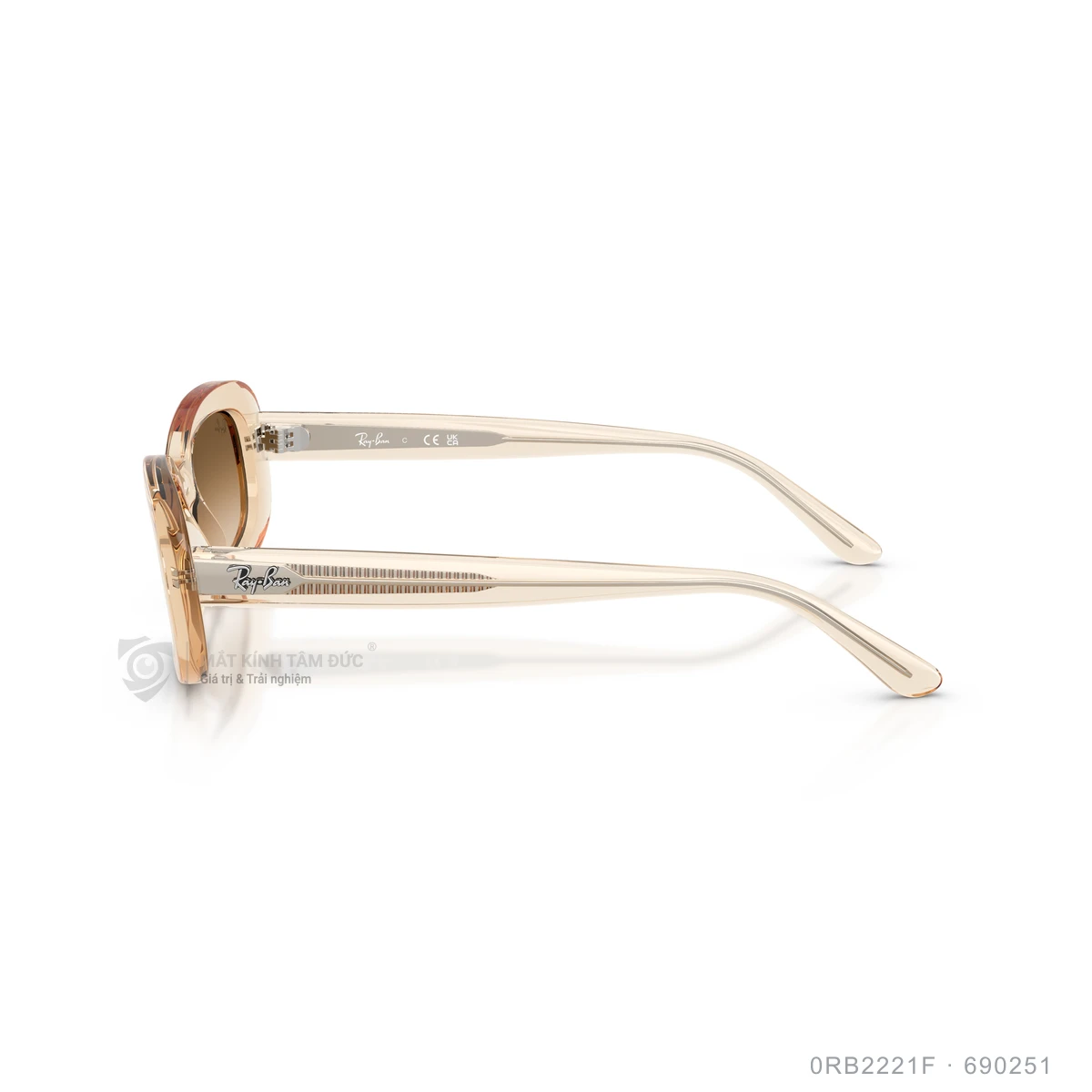 Kính mát Rayban 0RB2221F - Ảnh 4