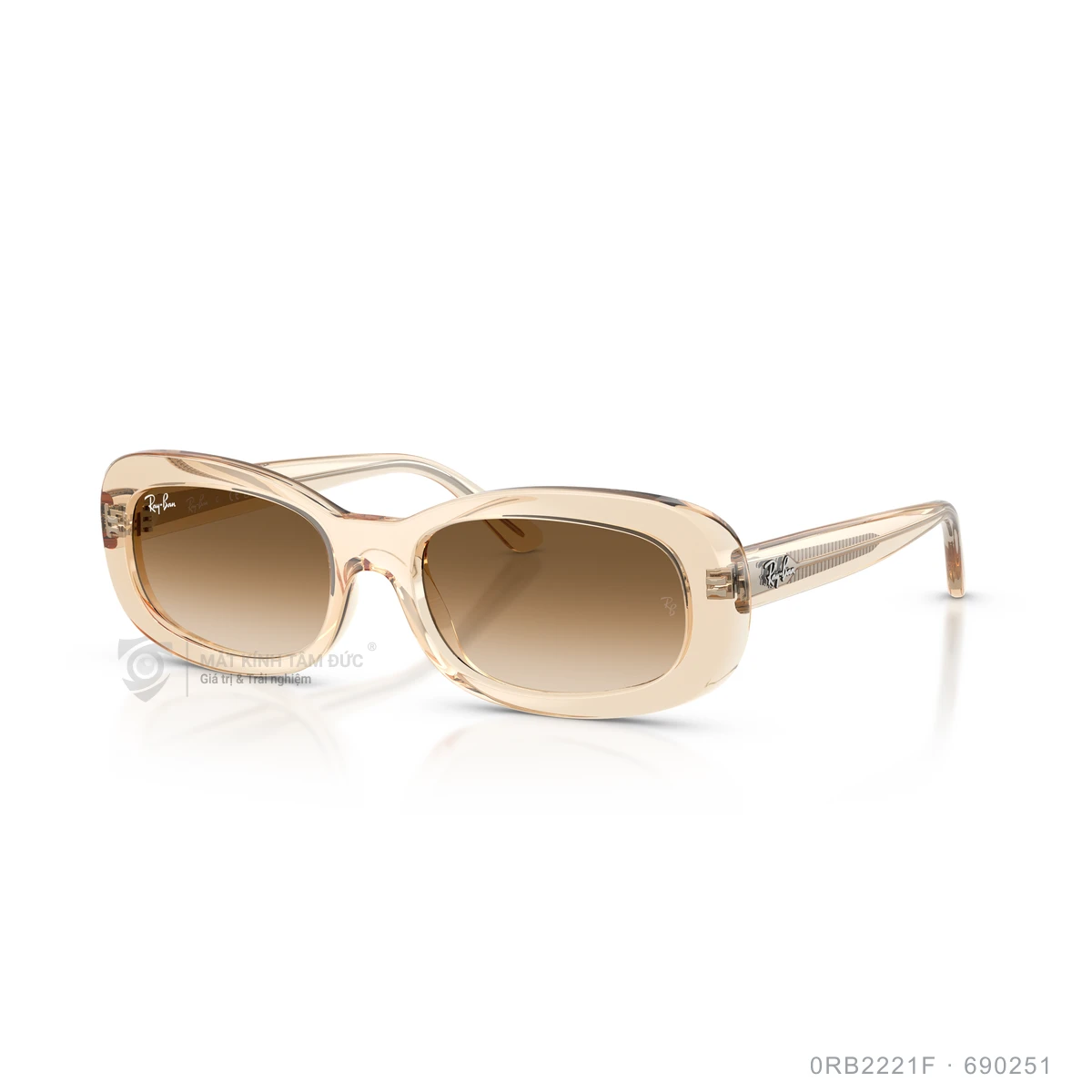Chi tiết góc nghiêng Kính mát Rayban 0RB2221F