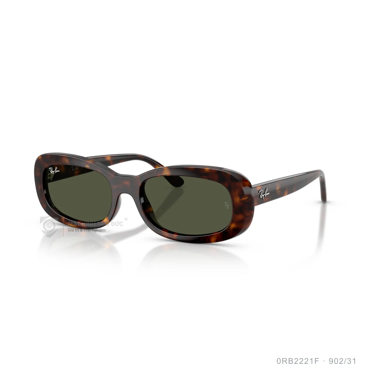 Kính mát Rayban 0RB2221F - Ảnh 17