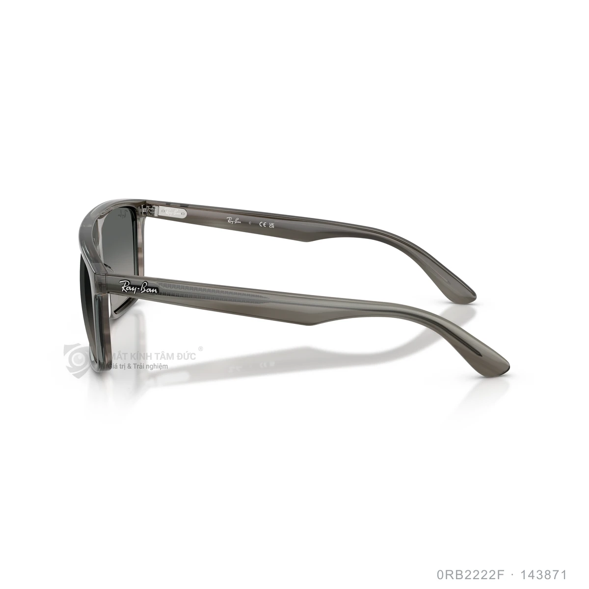 Kính mát Rayban 0RB2222F - Ảnh 4