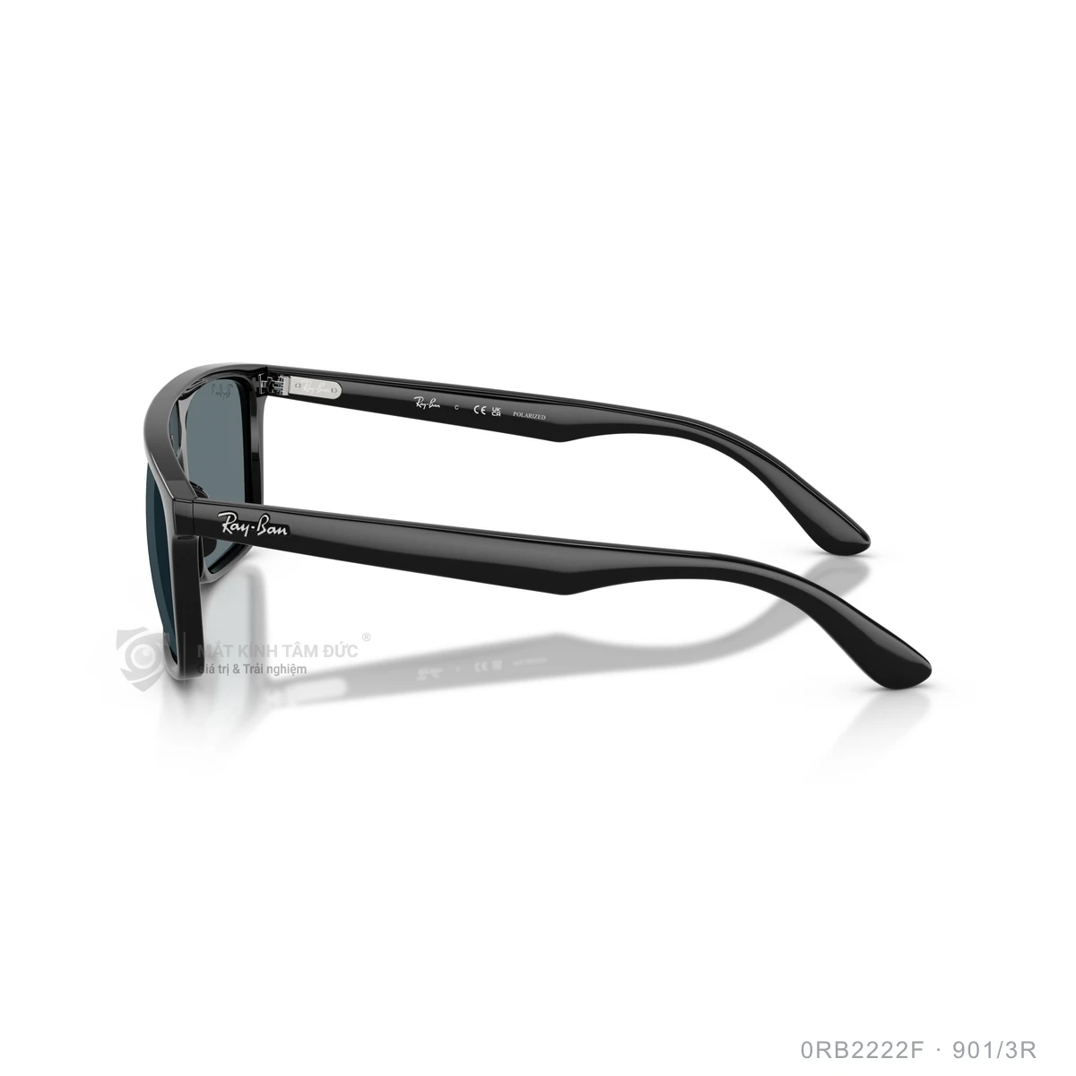 Kính mát Rayban 0RB2222F - Ảnh 14