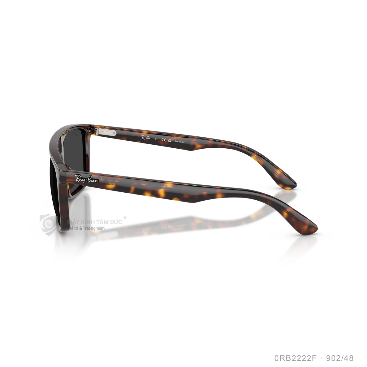 Kính mát Rayban 0RB2222F - Ảnh 19