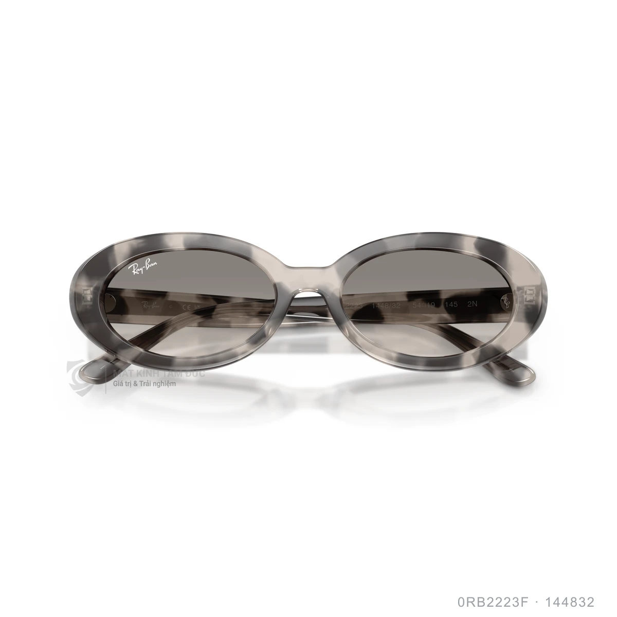 Kính mát Rayban 0RB2223F - Ảnh 3