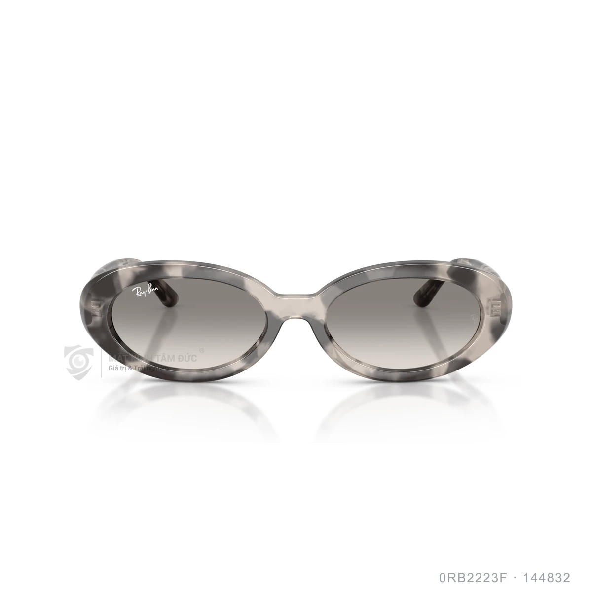 Hình ảnh thực tế Kính mát Rayban 0RB2223F