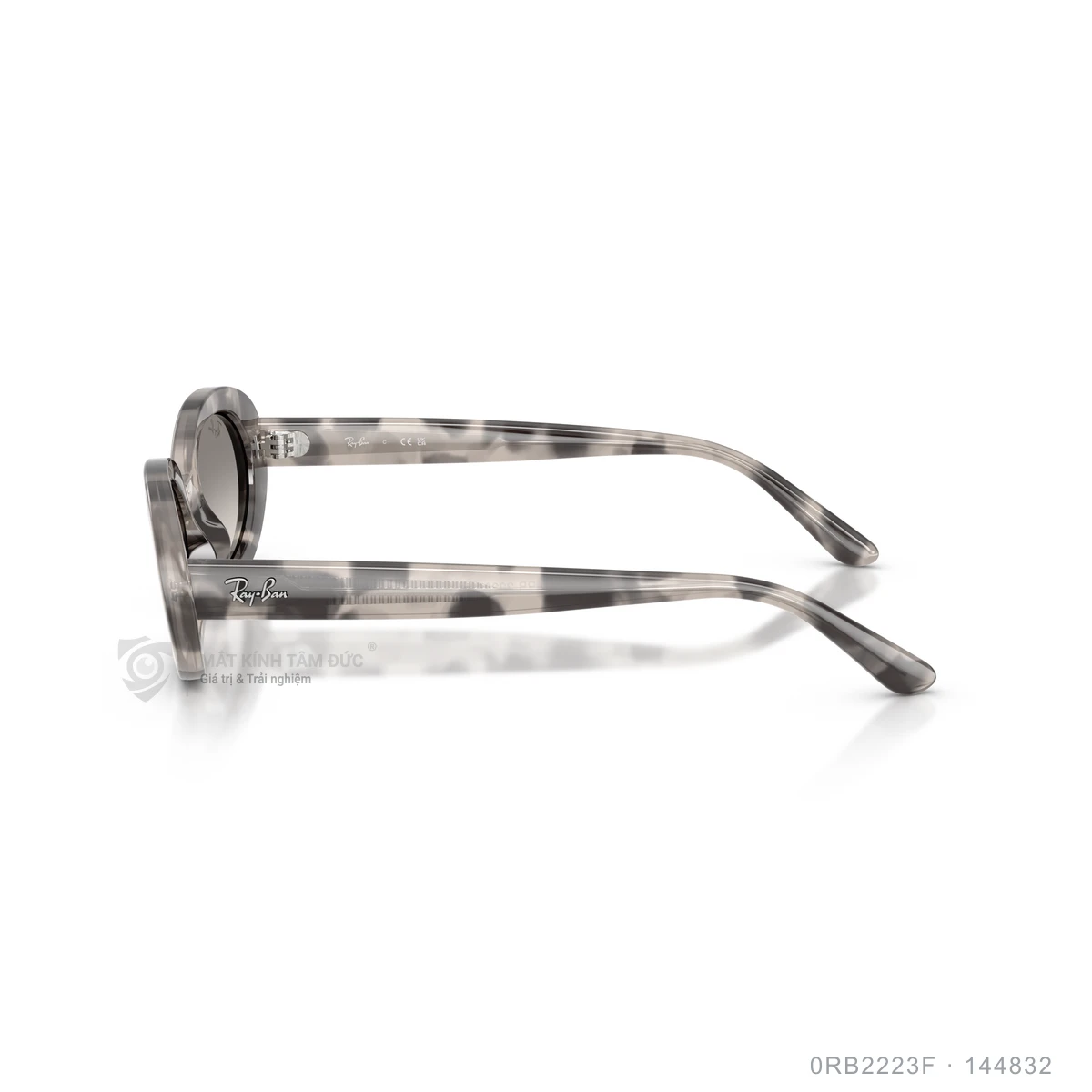 Kính mát Rayban 0RB2223F - Ảnh 4