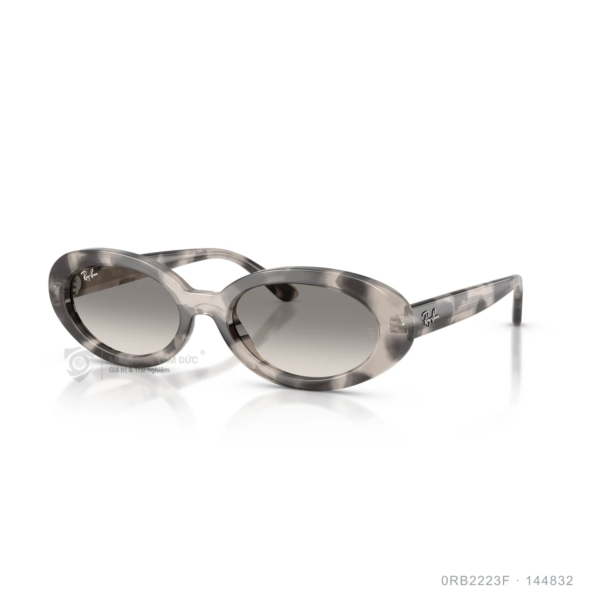 Chi tiết góc nghiêng Kính mát Rayban 0RB2223F