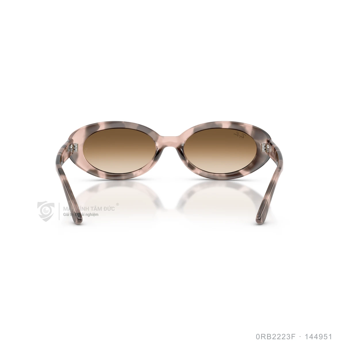 Kính mát Rayban 0RB2223F - Ảnh 10