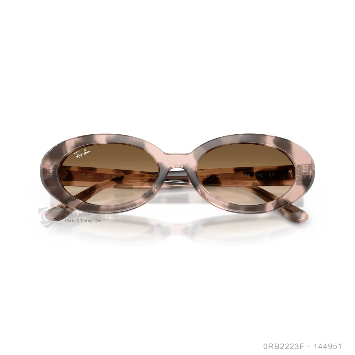 Kính mát Rayban 0RB2223F - Ảnh 8
