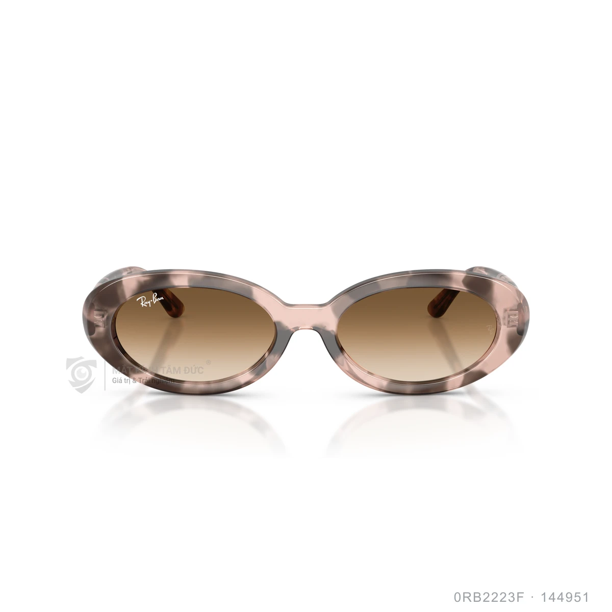 Kính mát Rayban 0RB2223F - Ảnh 6
