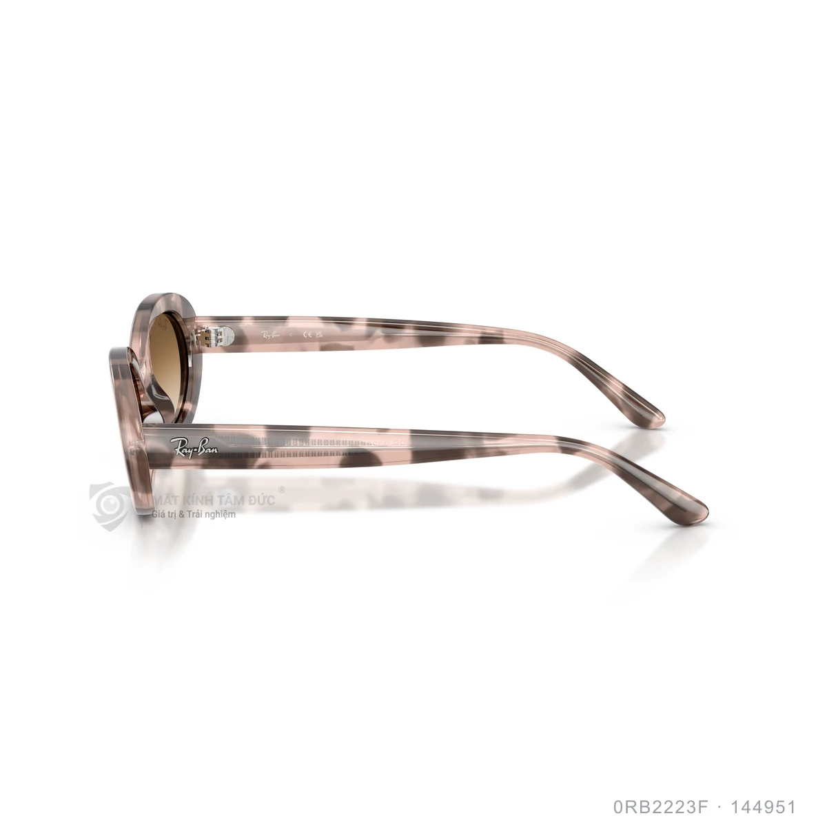 Kính mát Rayban 0RB2223F - Ảnh 9