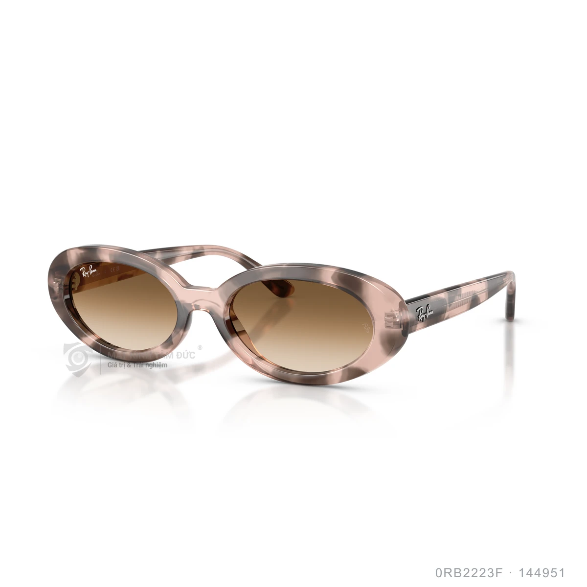 Kính mát Rayban 0RB2223F - Ảnh 7