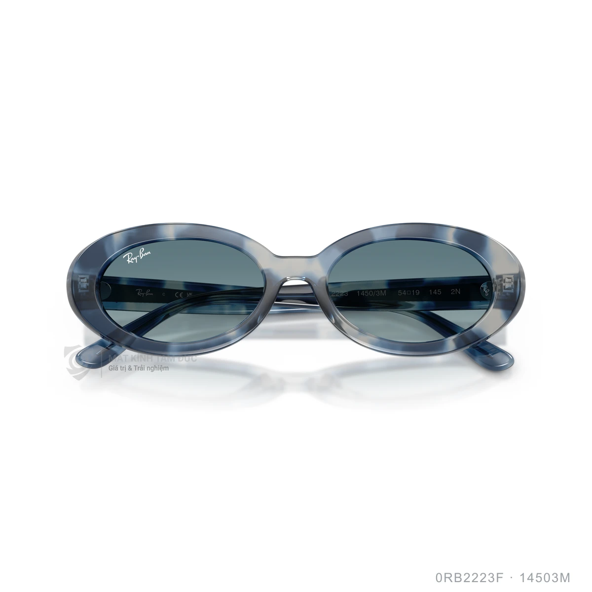 Kính mát Rayban 0RB2223F - Ảnh 13