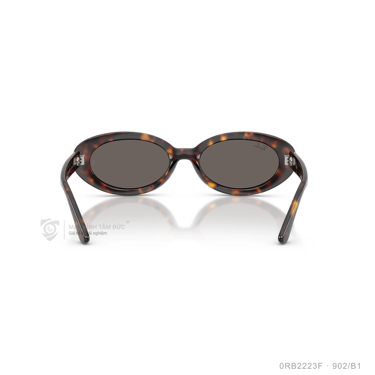 Kính mát Rayban 0RB2223F - Ảnh 25