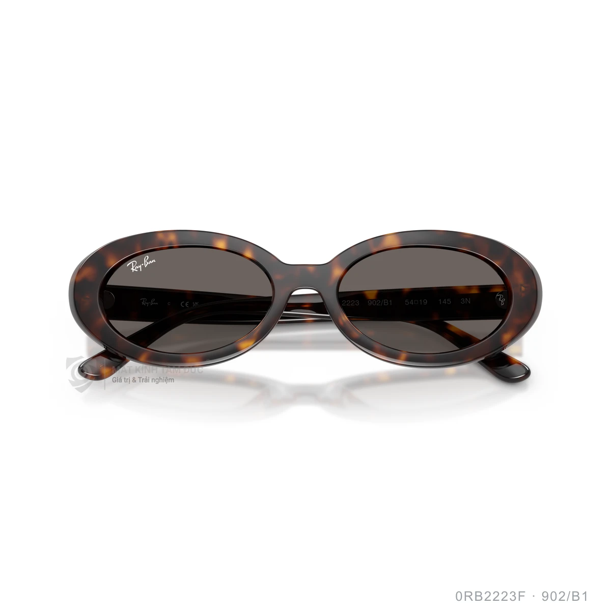 Kính mát Rayban 0RB2223F - Ảnh 23