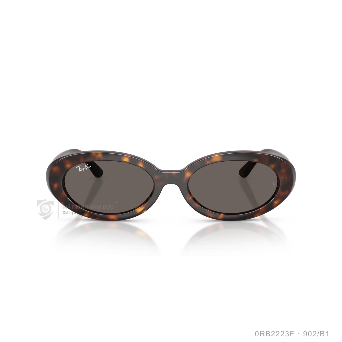 Kính mát Rayban 0RB2223F - Ảnh 21