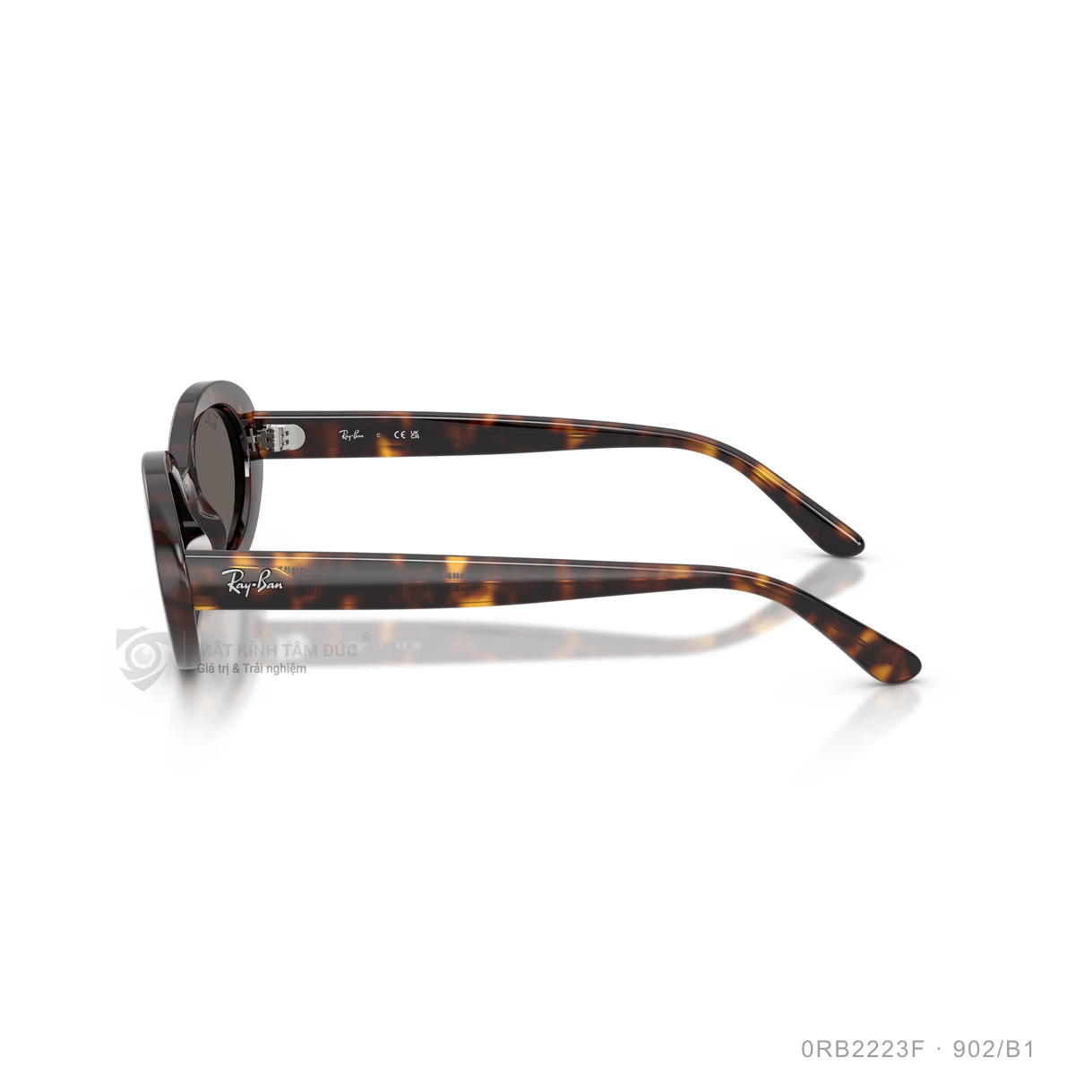 Kính mát Rayban 0RB2223F - Ảnh 24