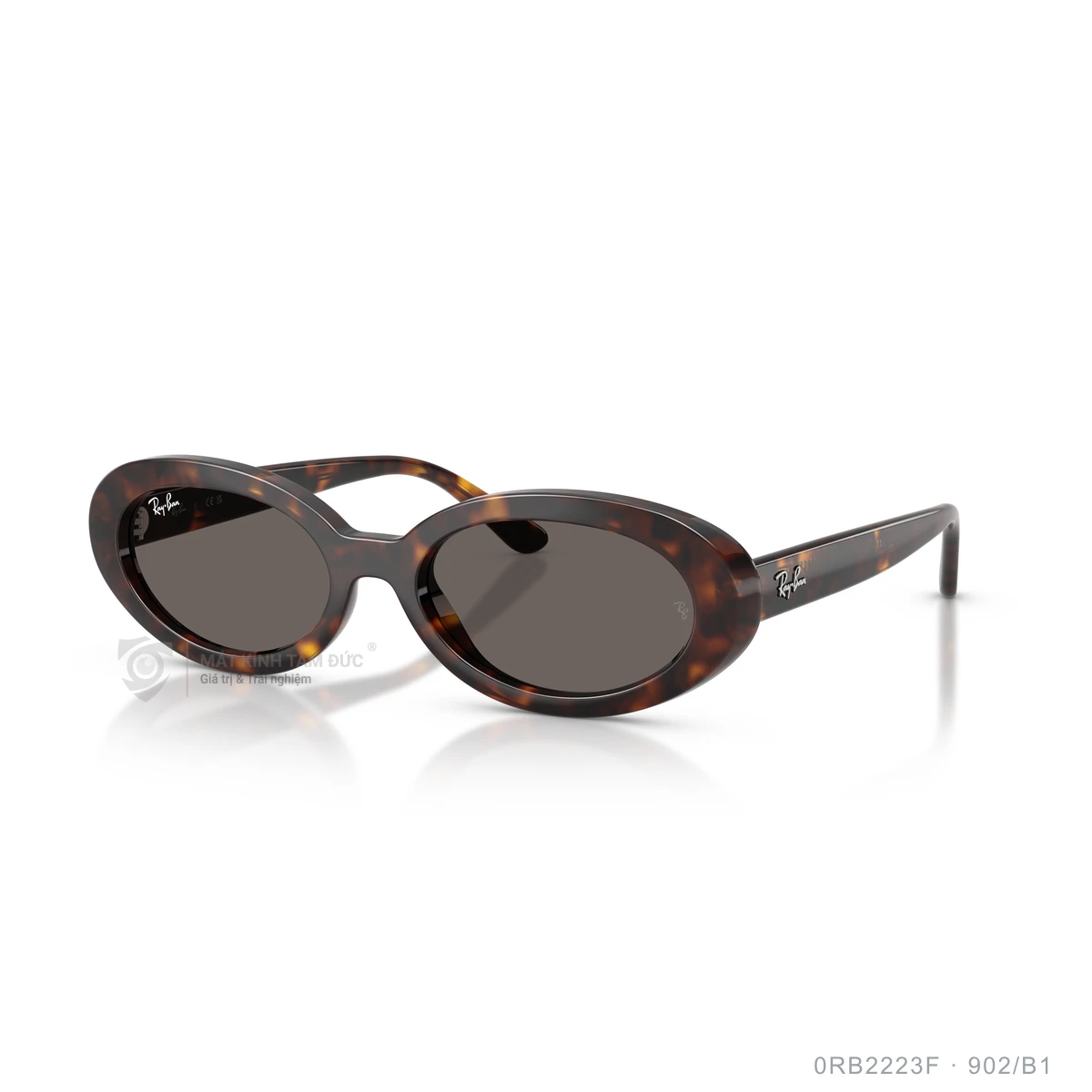 Kính mát Rayban 0RB2223F - Ảnh 22