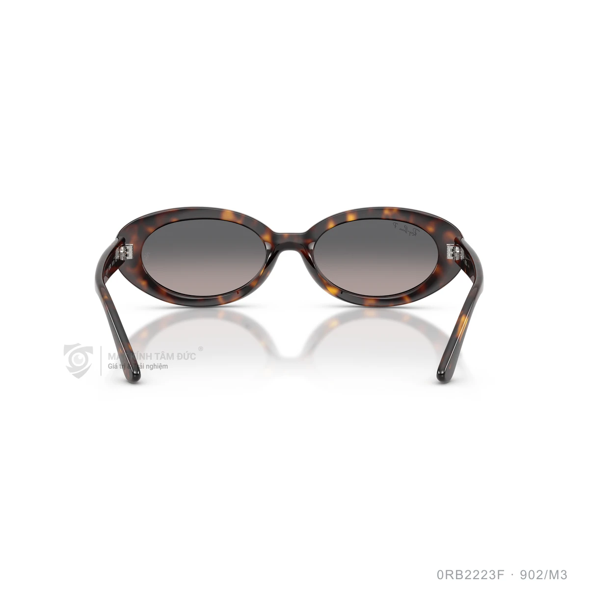 Kính mát Rayban 0RB2223F - Ảnh 30