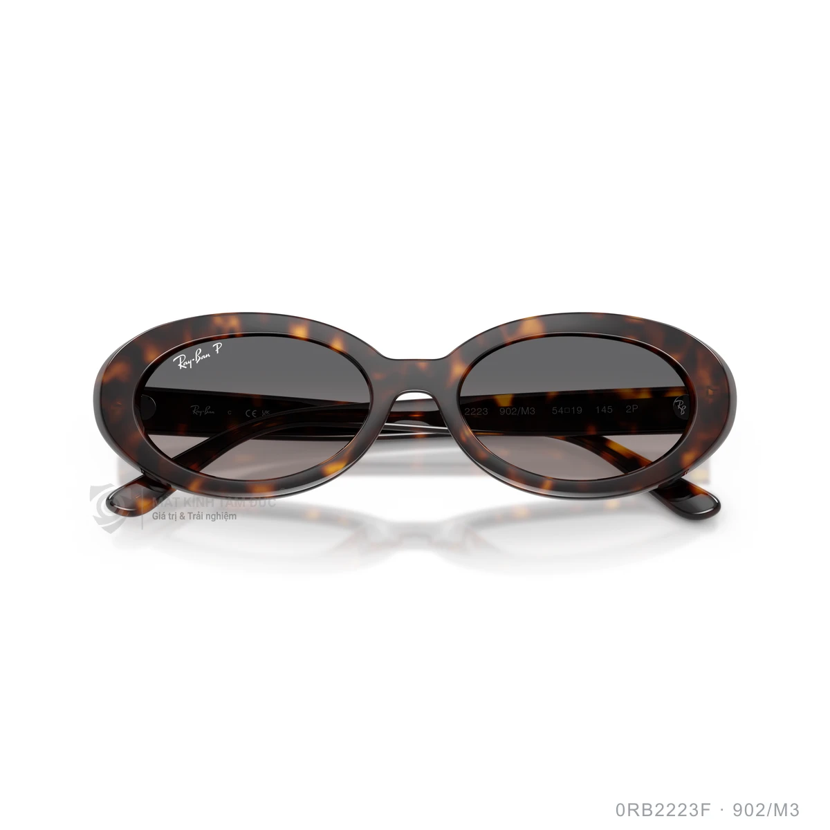Kính mát Rayban 0RB2223F - Ảnh 28