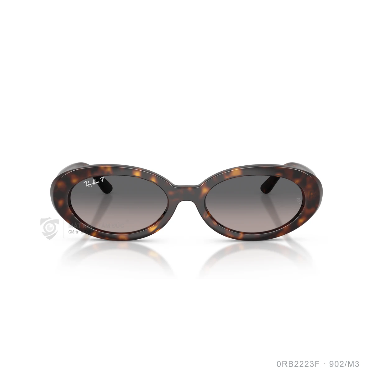 Kính mát Rayban 0RB2223F - Ảnh 26