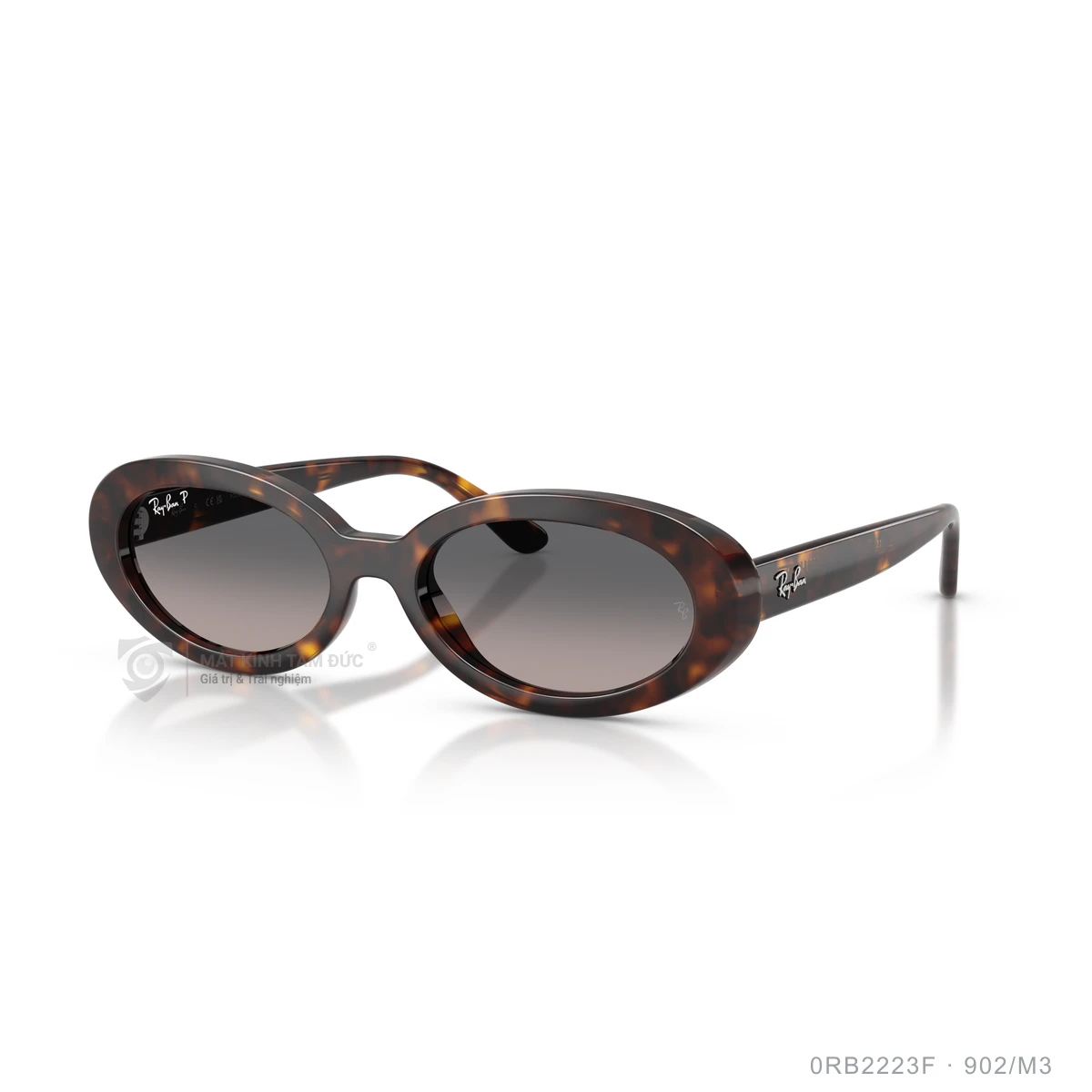 Kính mát Rayban 0RB2223F - Ảnh 27