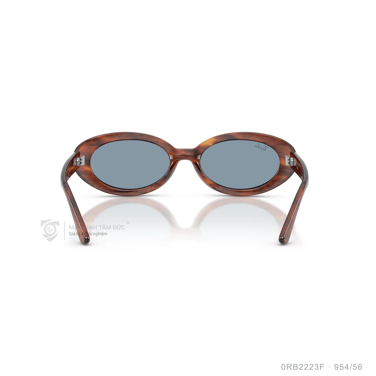 Kính mát Rayban 0RB2223F - Ảnh 35