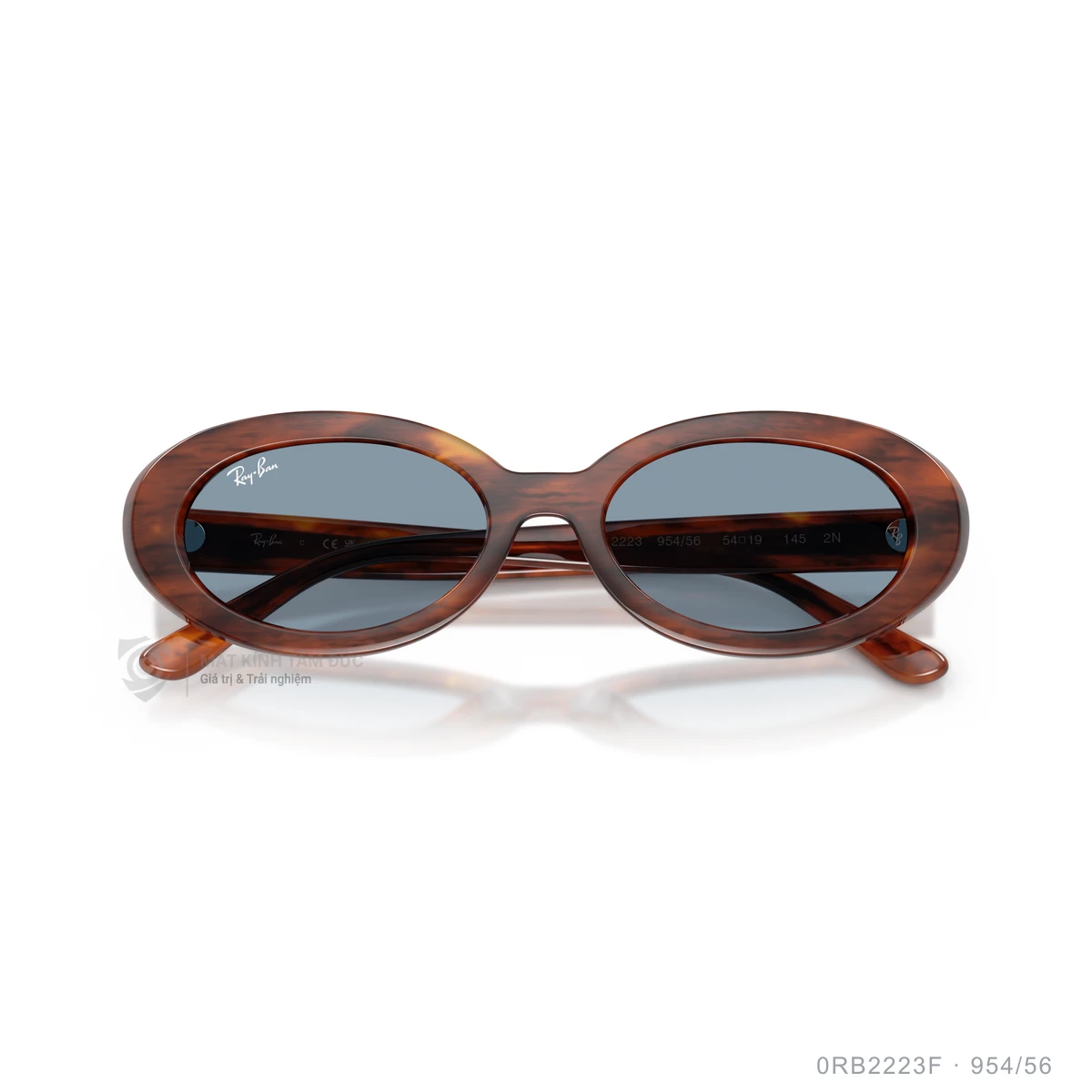 Kính mát Rayban 0RB2223F - Ảnh 33