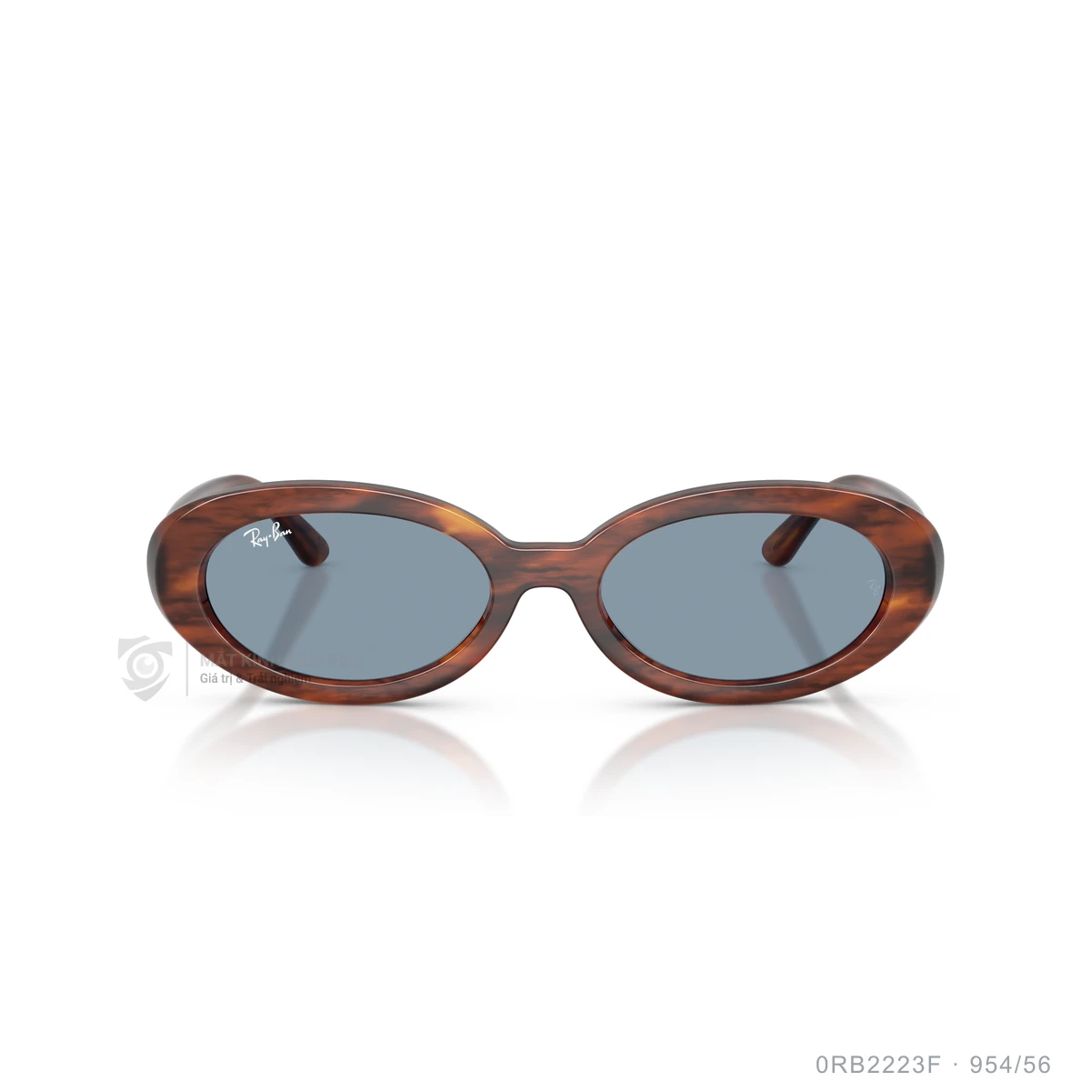 Kính mát Rayban 0RB2223F - Ảnh 31